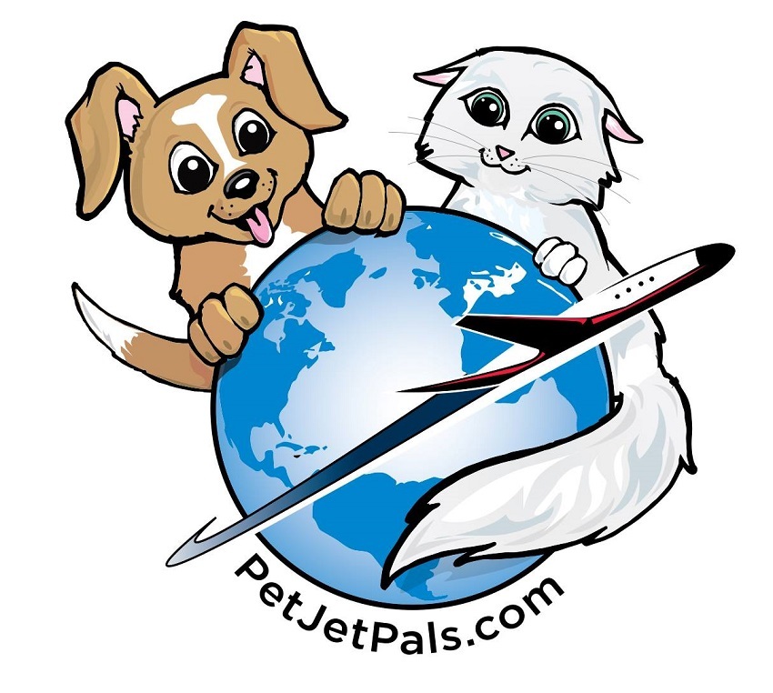 Home-Raised Maine Coon Kittens – Trusted Australian Maine Coon Breeder Pedigree Maine Coon kitten in Ballarat Victoria